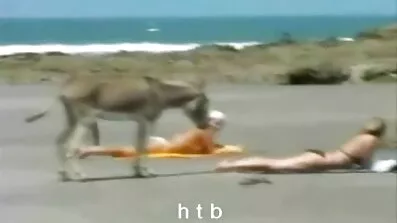 অপ্রত্যাশিত বাংলা বাংলাচুদাচুদি ভিডিও জাগরণ