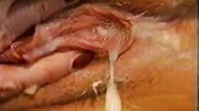 চা ডেজার্ট বাংলা চুদাচুদি ভিডিও