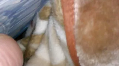 তুমি বাংলাচুদাচুদি বিএফ কি আমাকে বাঁচাবে?